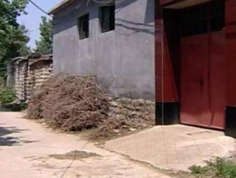 ����ʮ��Ů����������ͱ��ǰ�� ����һ���ӽ�����