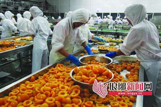 中国罐头第一镇:平邑县地方镇 小镇聚集60多家罐头企业