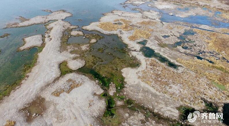 济南“大水缸”卧虎山水库水位持续走低 或影响趵突泉
