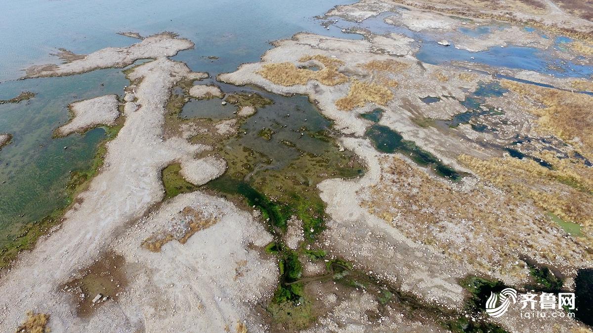 告急!济南“大水缸”卧虎山水库水位持续走低 或影响趵突泉