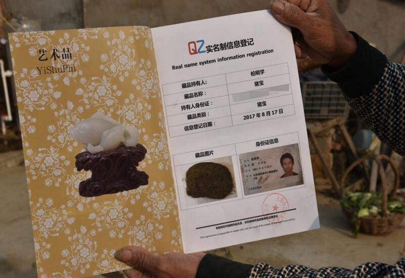 山东农民疑获猪宝 花近4万元验证140克“毛蛋”专家估价300万