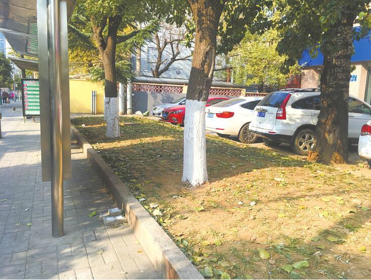 风起萍末 城生涟漪——李铁柱来信公开一周年之际回访涉事点位