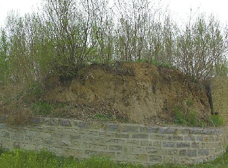 济南有了首个国家考古遗址公园 城子崖获封“国字号”