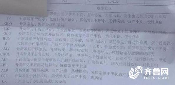 济南清波路多条宠物犬接连“中毒”死亡 警方已介入