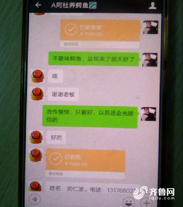威海市民网购鳄鱼“尝鲜” 拆开快递却令人啼笑皆非