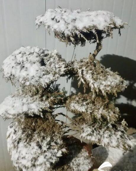 青岛胶州平度迎入冬初雪 这些高速路段受影响临时封闭