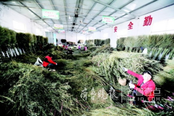 ɨһ壡񿿼ӹɨסС¥