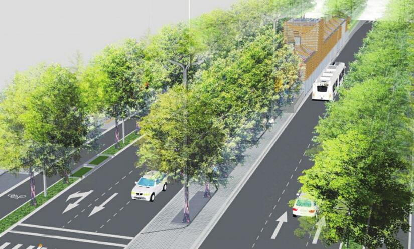 绿道“会呼吸”！CBD街道景观欲打造“城市植物园”