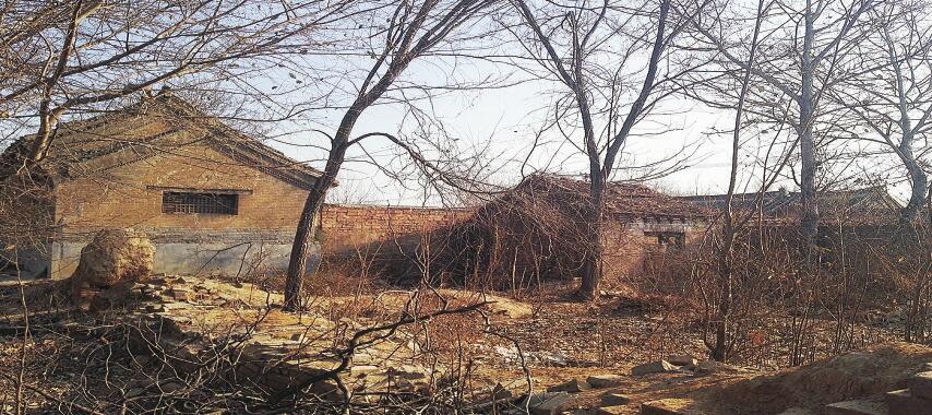 济阳县周家大院：徘徊在保护和维修的矛盾交叉口