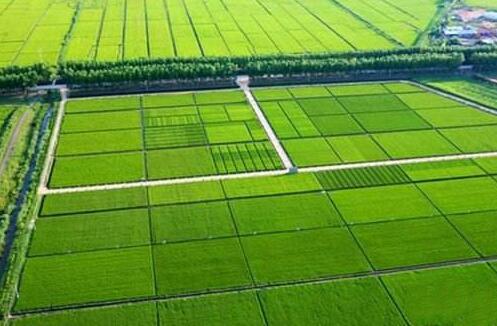 ɽ2019׻ũ 5600ĶĿ