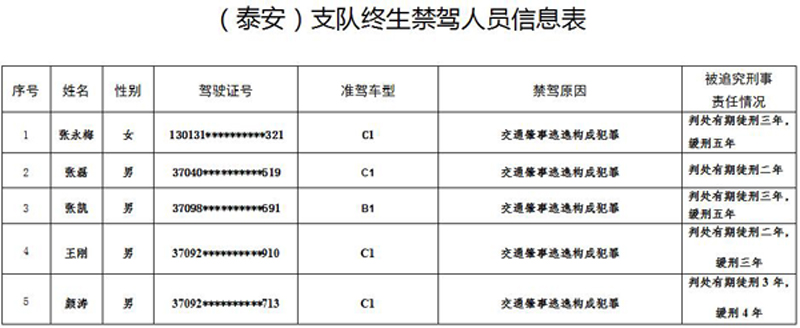 泰安：5人肇事逃逸终身禁驾 年龄最小的26岁