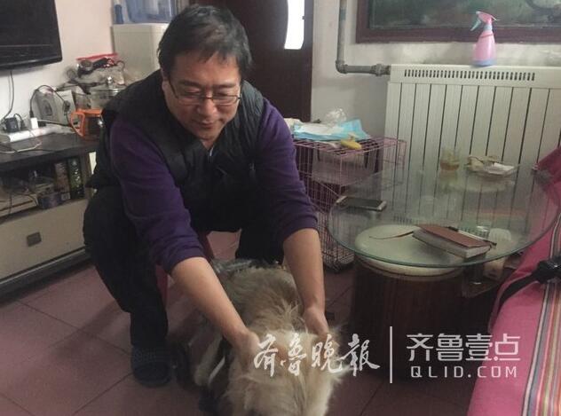 众人相助济南这个瘫痪小狗 借着护具它又能跑起来了