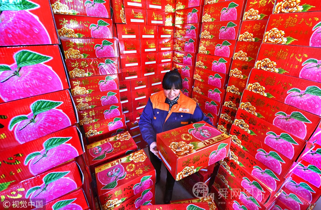 山东淄博：深山苹果飘香“一带一路”沿线国家