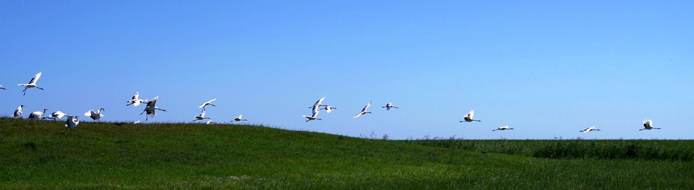 摄影家镜头里的时代记忆 董玉庆:用相机定格晨光暮色、喜怒哀乐