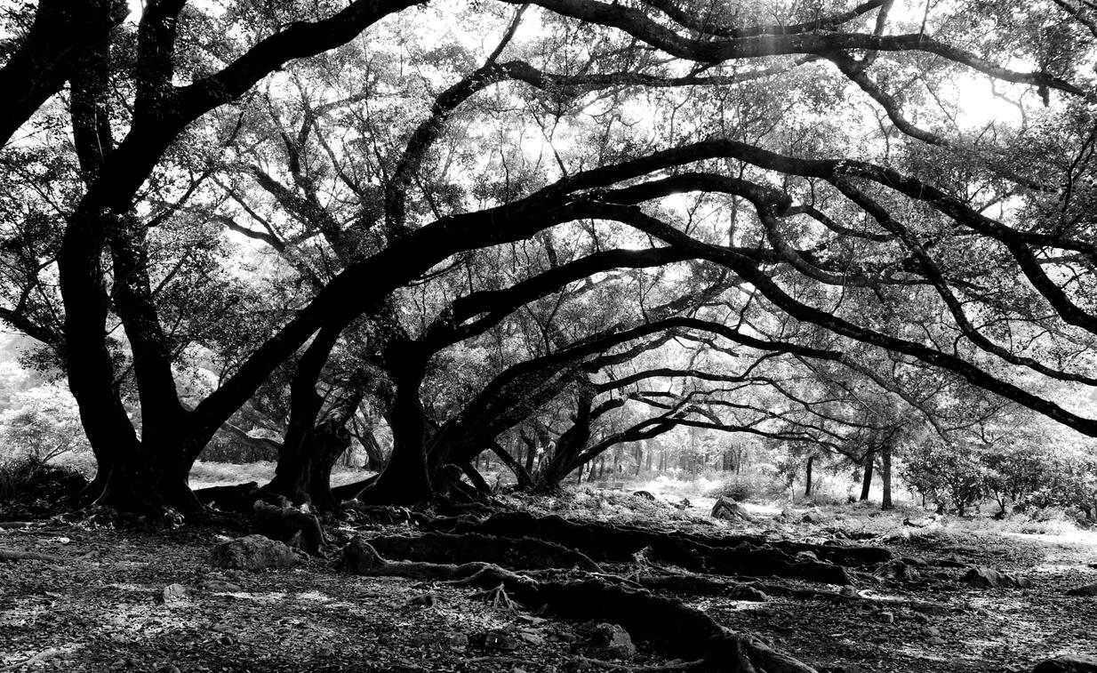 摄影家镜头里的时代记忆 董玉庆:用相机定格晨光暮色、喜怒哀乐