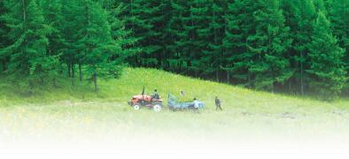 国家林业局：我国启动大规模国土绿化行动