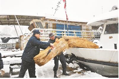 近年少见大雪中 那一幅幅动人的剪影