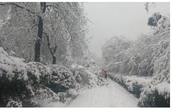 安徽暴雪已致4人死亡 初步统计直接经济损失7