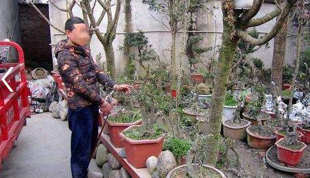 ����͵�������辰���� ��ֵ����Ԫ�辰��������Ԫ�۸����