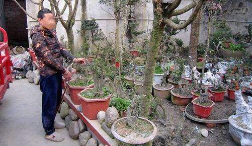 ��ü���͵�������辰���� ���Ɀ����Ϊ�����޷첻������¶��