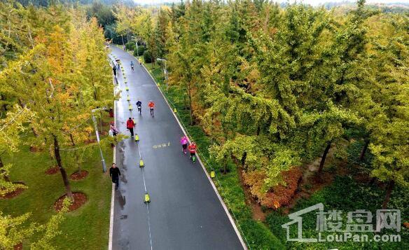 600万拆迁款撬动济南西部核心区楼市