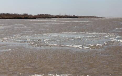 山东黄河淌凌下游凌情发展迅速 防凌工作积极展开