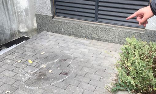 拾狗者索酬不成摔死小狗 柯基犬之死引发的人肉搜索