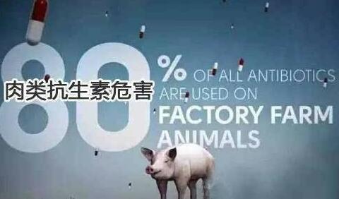 担忧！超级细菌开始横行 把药当饭吃的行为正侵袭这人们的健康