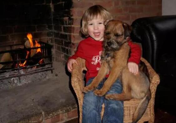英国富翁重金悬赏寻找小男孩爱犬 自掏腰包花费8.8万元为男孩圆梦