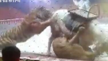 ��������!��Ϸ�����������⿴�޹��� 