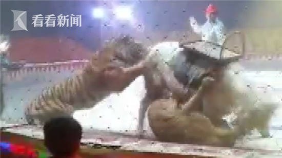 ��Ϸ������ʨ������������ ʨ���ϻ�Χ��ҧ����