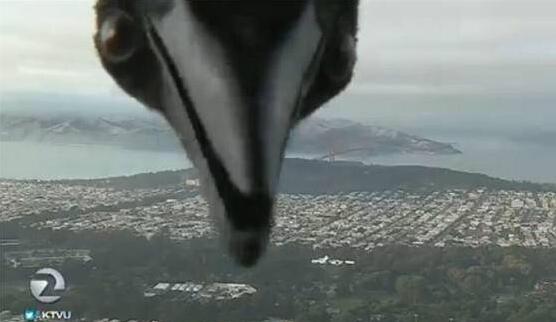 ֱ���ֳ�����С��ֱ�Ӿ�ͷ ��Ļ�ϳ�������