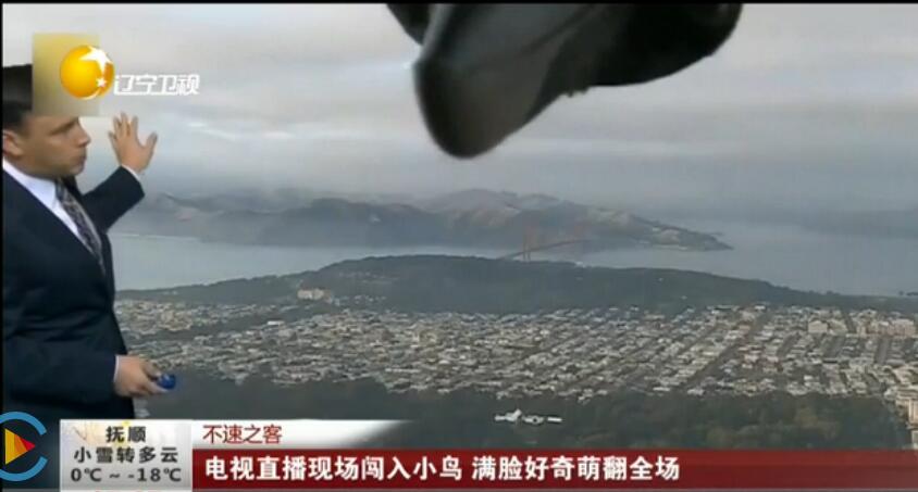 ����֮�ͣ�ֱ���ֳ�����С�� ��Ļ�ϵľ޴��Դ��ô���ַ���