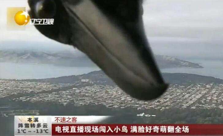 ����֮�ͣ�ֱ���ֳ�����С�� ��Ļ�ϵľ޴��Դ��ô���ַ���