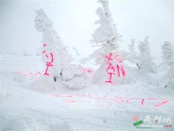 中国游客“杰作”?日本景点遭涂鸦 现场惊现巨大汉字“生日快乐”