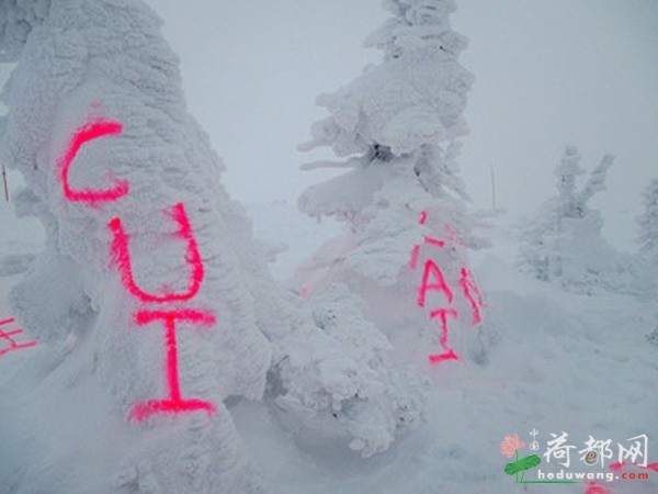 中国游客“杰作”?日本景点遭涂鸦 现场惊现巨大汉字“生日快乐”