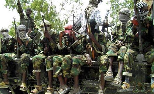 尼日利亚发生自杀式爆炸袭击 致12死48伤