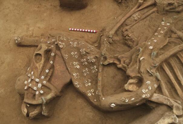 六大考古新发现:迁徙、冶铜、祭山神、雕玉器 先人们原来很忙的