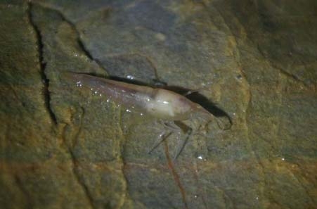 ����ʤ��!��Ѩ����ϡˮ���� ֤����ǽ�������������̬���