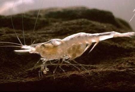 ����ʤ��!��Ѩ����ϡˮ���� ֤����ǽ�������������̬���