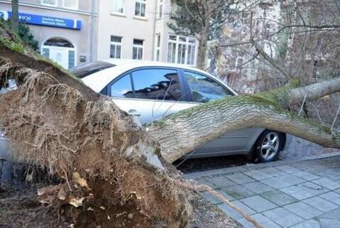 德国遭遇飓风袭击6人死亡 多城市瞬时变成灾难片拍摄现场