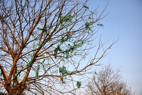 王忠林暗访大气污染防控工作 这些问题快来认领