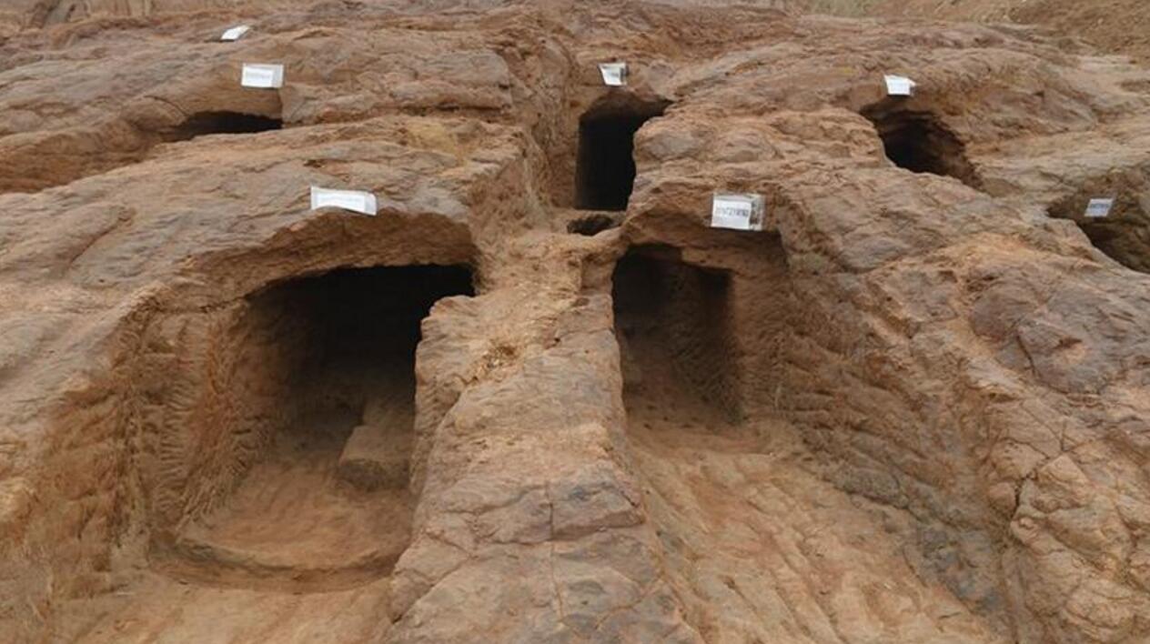 �ɶ��ִ�����ĹȺ ����200����������κ��ʱ����Ĺ