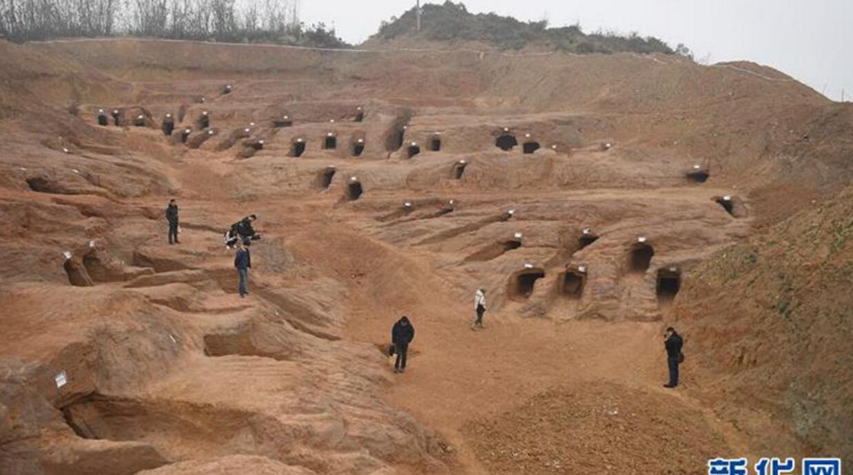 �ɶ��ִ�����ĹȺ ����200����������κ��ʱ����Ĺ