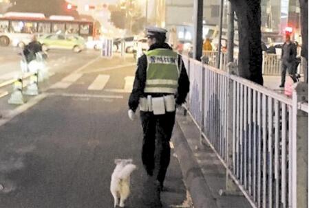 流浪小狗求助辅警求收养 小跟班