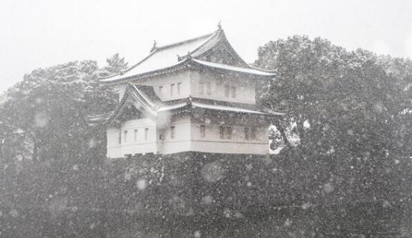 东京大雪交通混乱 如川端康成笔下雪国唯美梦