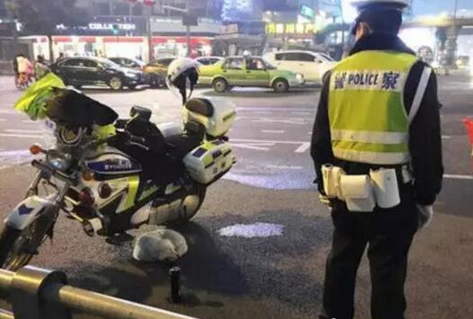 暖哭!流浪小狗求助辅警