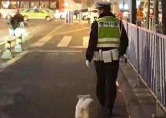 狗生圆满!流浪小狗求助辅警 萌汪耍赖蹲点终获交警小哥哥硬汉心