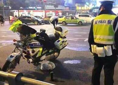 狗生圆满!流浪小狗求助辅警 萌汪耍赖蹲点终获交警小哥哥硬汉心