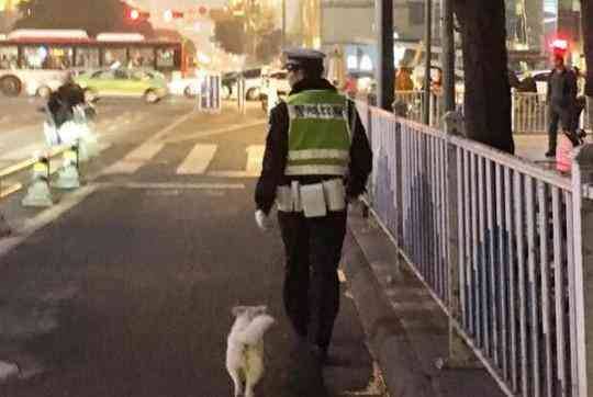 流浪小狗求助辅警 结局暖心：辅警准备正式收养这只小狗